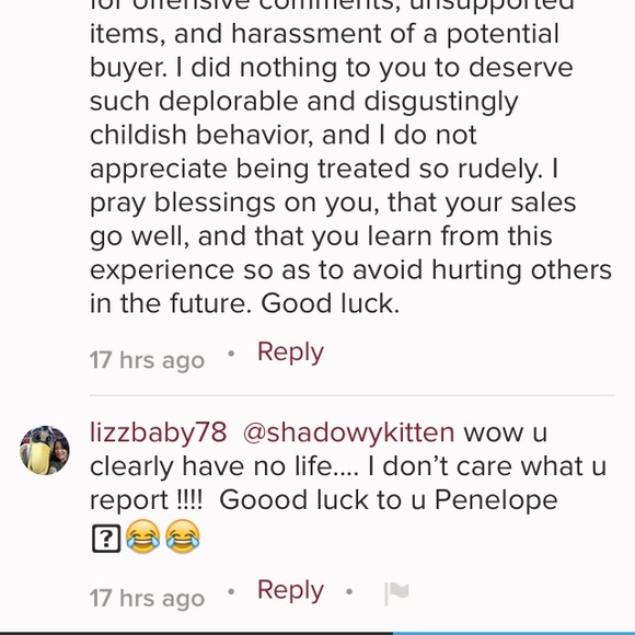 Bully/Abusive User Warning! - Picture 5 of 5